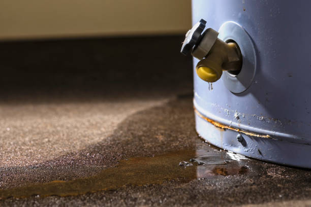 Best Basement water damage restoration  in New Cumberland, WV