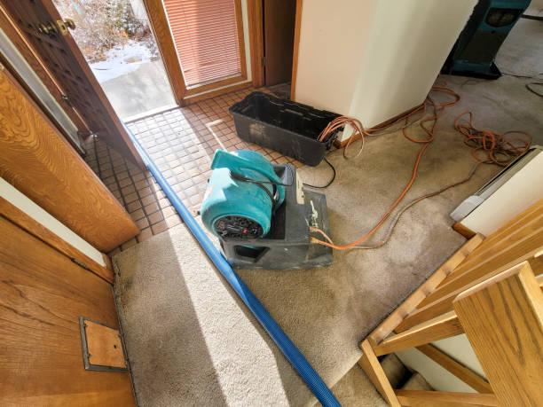 Best Flooded house restoration  in New Cumberland, WV