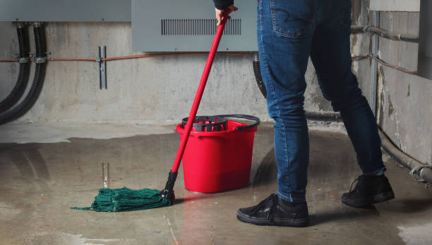 Best Water damage restoration near me  in New Cumberland, WV