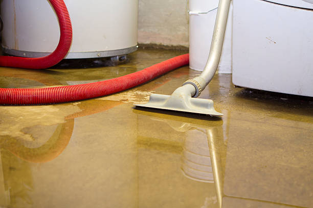 Best Water damage contractors near me  in New Cumberland, WV