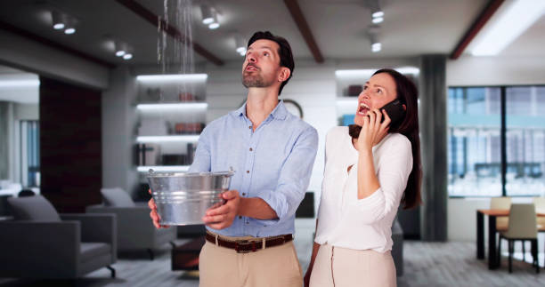 Best 24/7 water damage repair  in New Cumberland, WV
